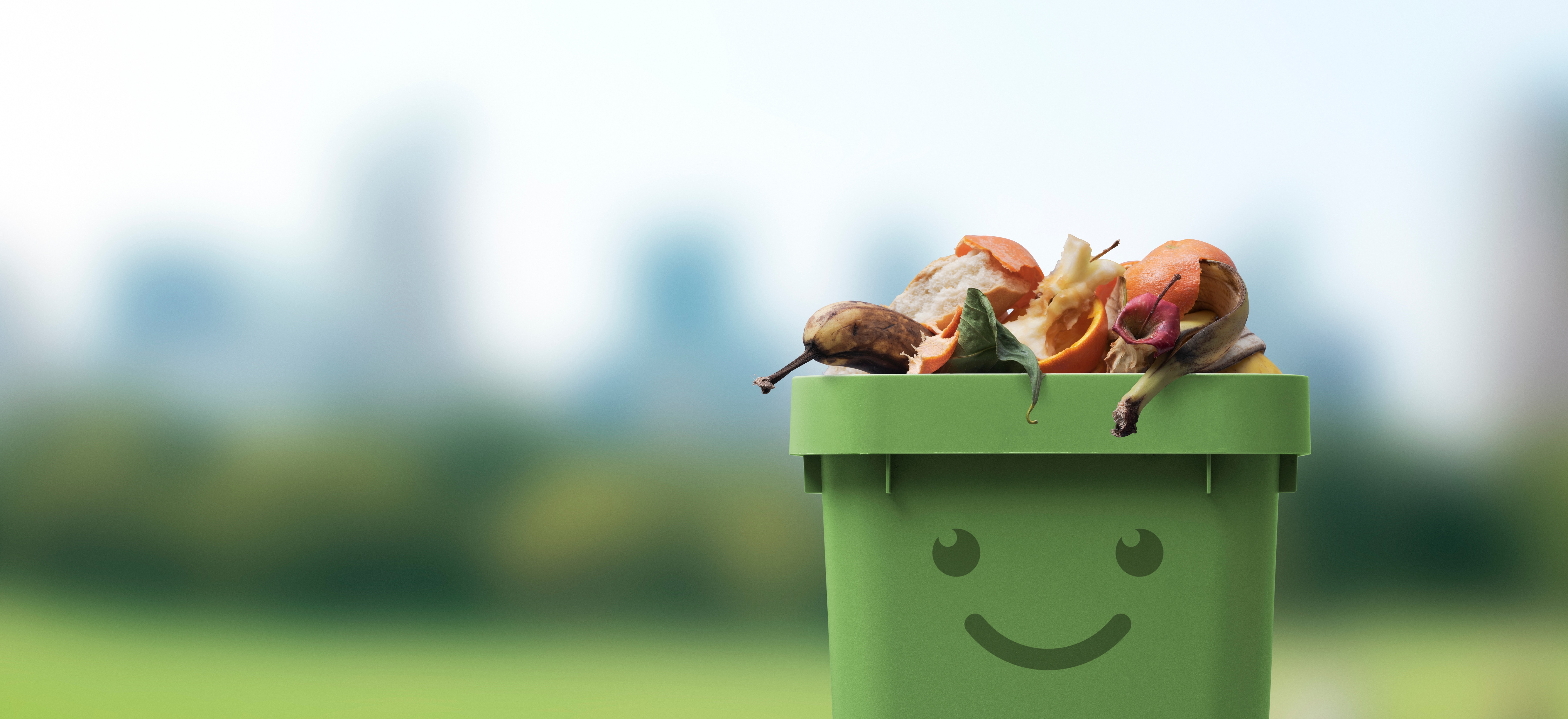 Course Image {mlang en}ESG -  Food Waste 101{mlang}{mlang zh_tw}ESG  -  Food Waste 101{mlang}{mlang zh_cn}ESG  -  Food Waste 101{mlang}